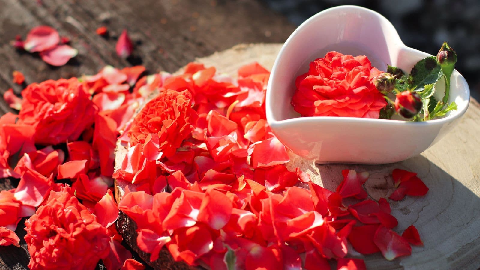 Deep red rose petals scattered on a pale stone surface, close up